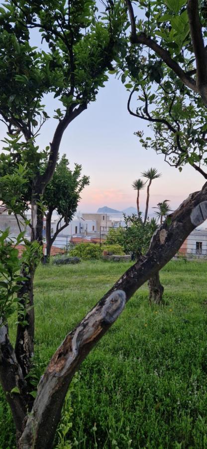 La Zagara Hotel Lipari  Exteriér fotografie